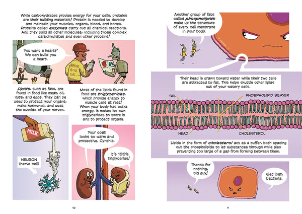 Science Comics: The Digestive System: A Tour Through Your Guts