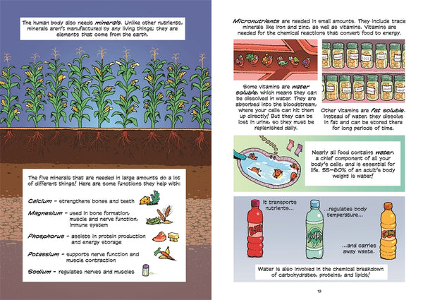 Science Comics: The Digestive System: A Tour Through Your Guts