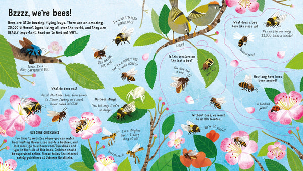 Usborne Lift-the-Flap Look Inside: The World Of Bees