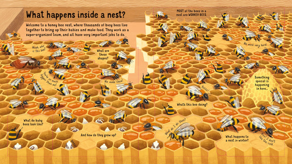 Usborne Lift-the-Flap Look Inside: The World Of Bees