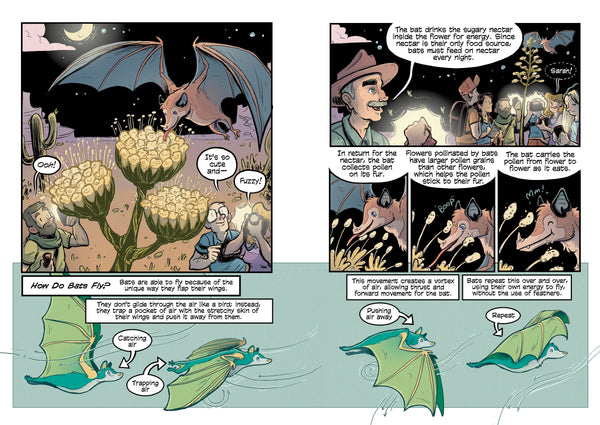 Science Comics Bats: Learning to Fly