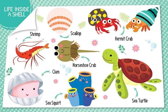 My First 100 Things Under The Sea