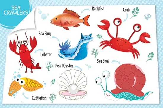 My First 100 Things Under The Sea