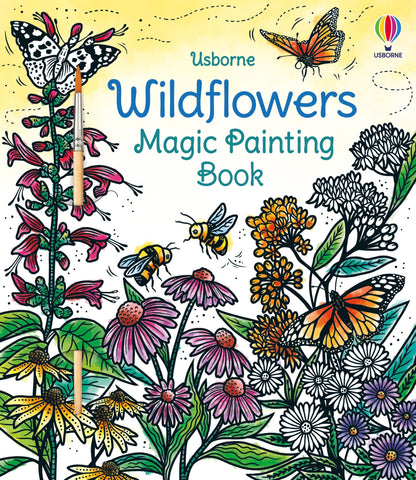 Usborne Wildflowers Magic Painting Book