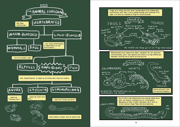 Science Comics Frogs: Awesome Amphibians