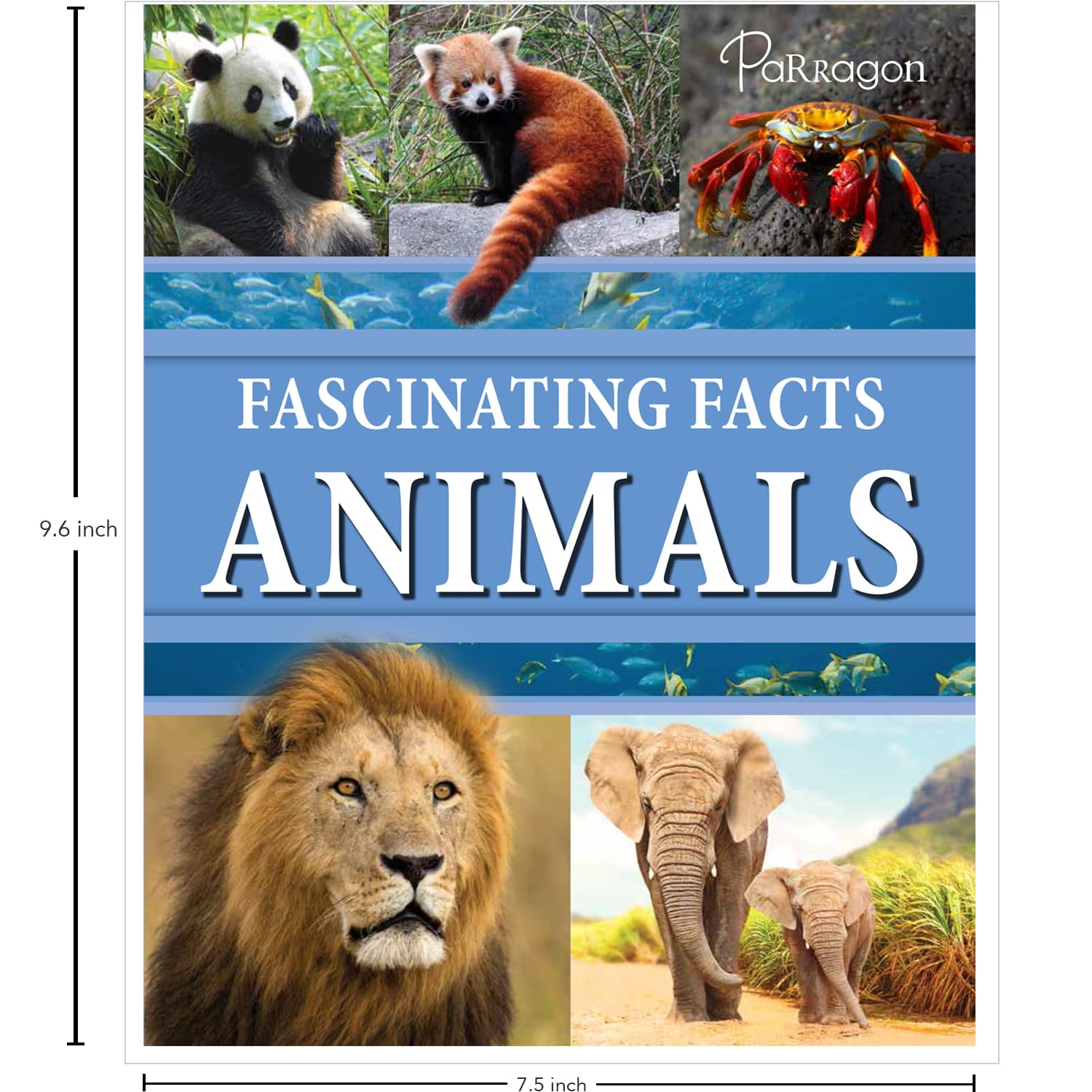 Fascinating Facts: Animals