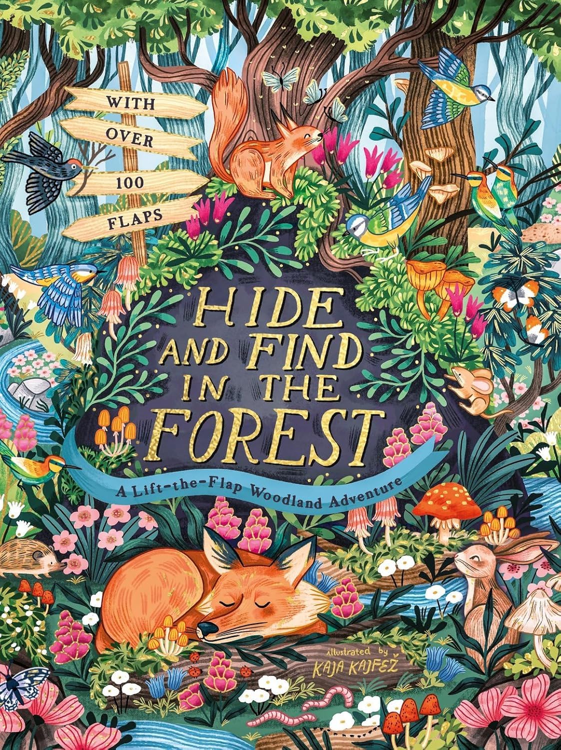 Hide And Find In The Forest: A Lift-the -Flap Woodland Adventure