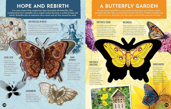 Inside Out Butterfly: Discover Nature's Most Amazing Transformation