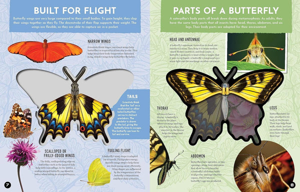 Inside Out Butterfly: Discover Nature's Most Amazing Transformation