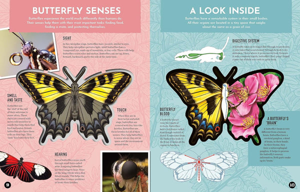 Inside Out Butterfly: Discover Nature's Most Amazing Transformation