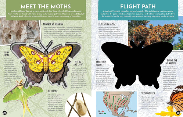 Inside Out Butterfly: Discover Nature's Most Amazing Transformation