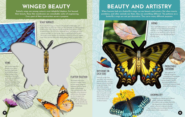 Inside Out Butterfly: Discover Nature's Most Amazing Transformation