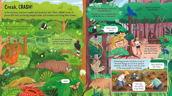 Usborne Look inside Animals in Danger