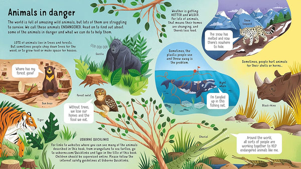 Usborne Look inside Animals in Danger