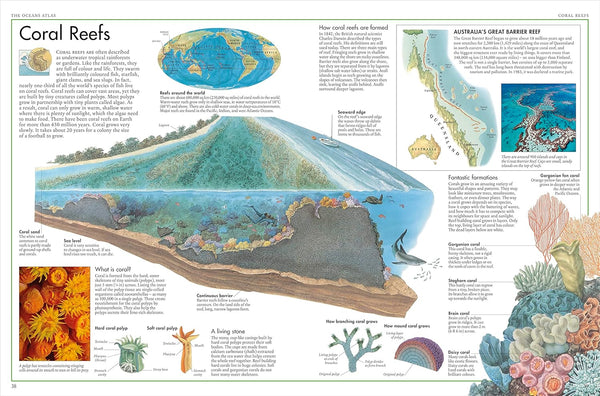 DK The Oceans Atlas: A Pictorial Guide to the World's Waters