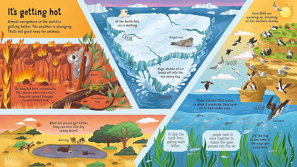 Usborne Look inside Animals in Danger