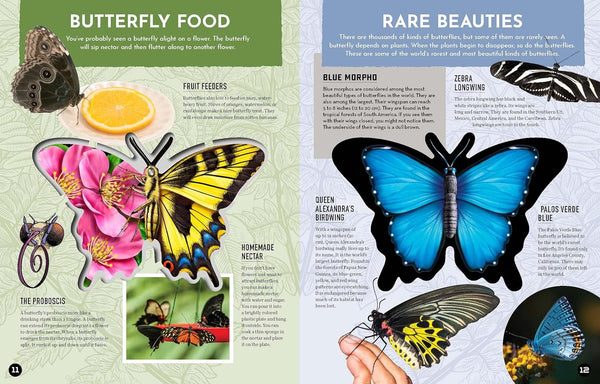 Inside Out Butterfly: Discover Nature's Most Amazing Transformation