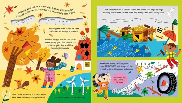 Usborne Step inside Science: Weather