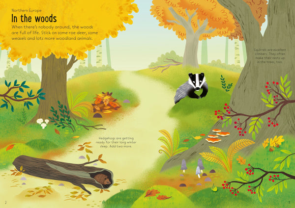 Usborne Little First Stickers Nature