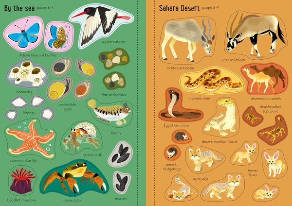 Usborne Little First Stickers Nature