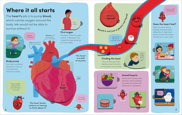 DK You And Your Body: A First Look Inside the Human Body