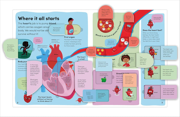 DK You And Your Body: A First Look Inside the Human Body
