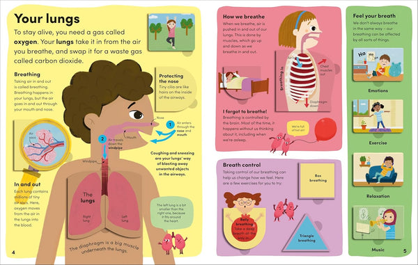 DK You And Your Body: A First Look Inside the Human Body