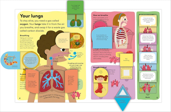 DK You And Your Body: A First Look Inside the Human Body