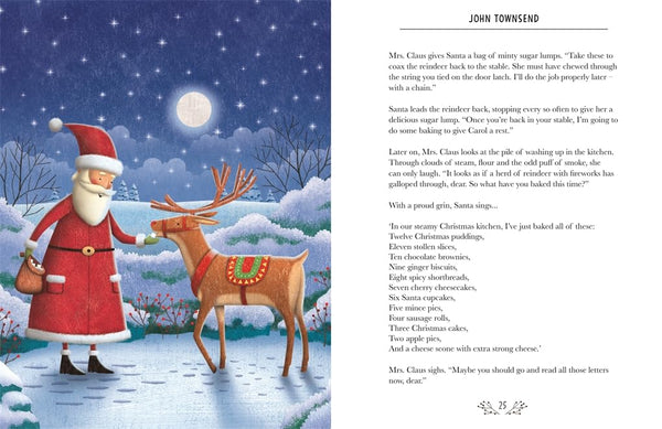 The Christmas Chronicles - John Townsend