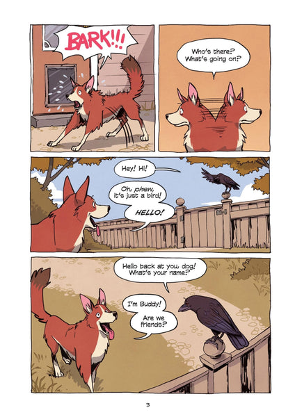 Science Comics Crows: Genius Birds