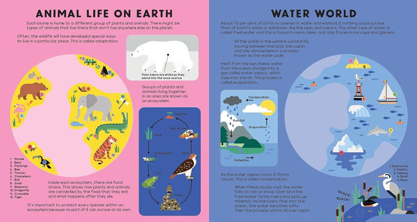 The Earth Book: Discover Our Amazing Planet With Incredible See-Through Pages!