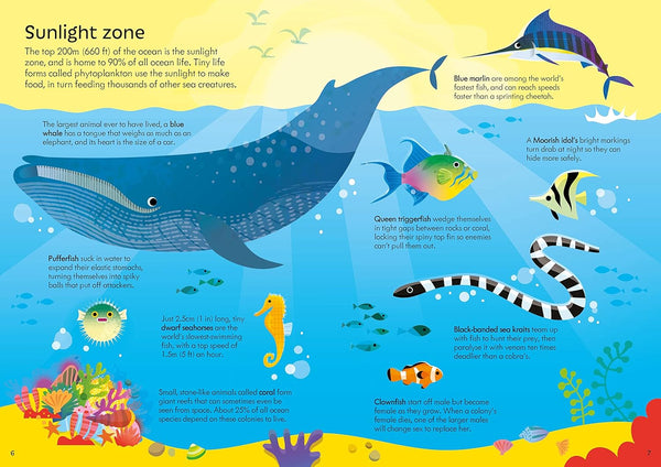 Usborne Book and Jigsaw Oceans