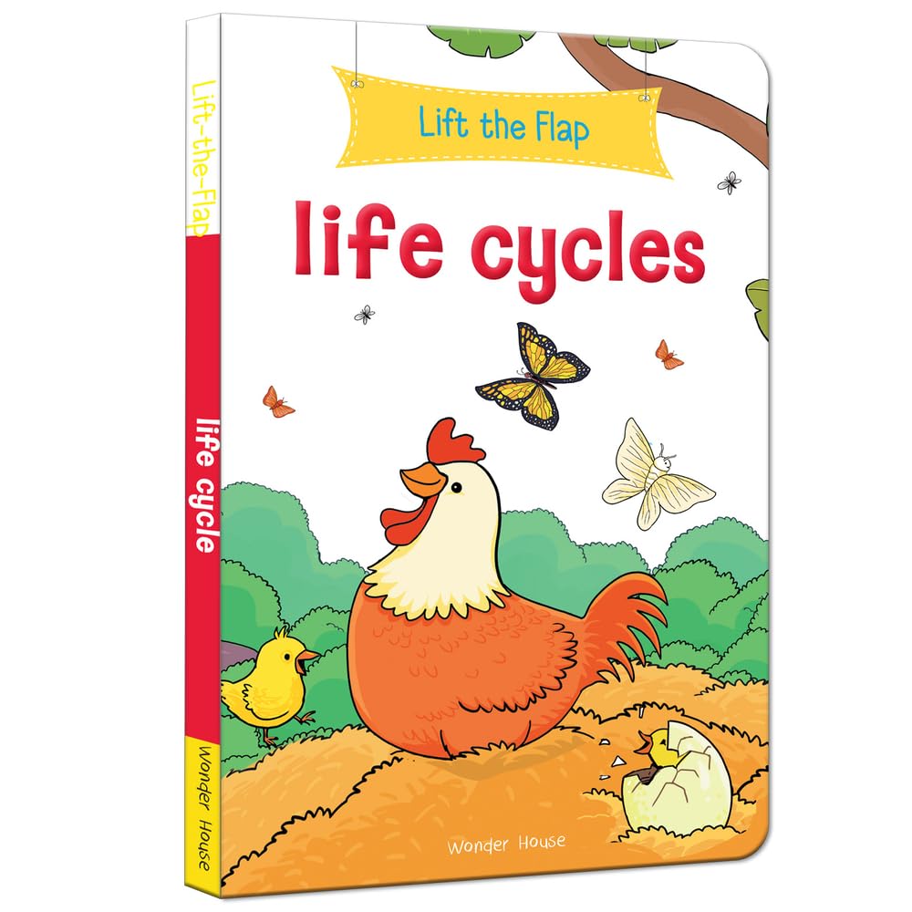 Lift-the-Flap: Life Cycles