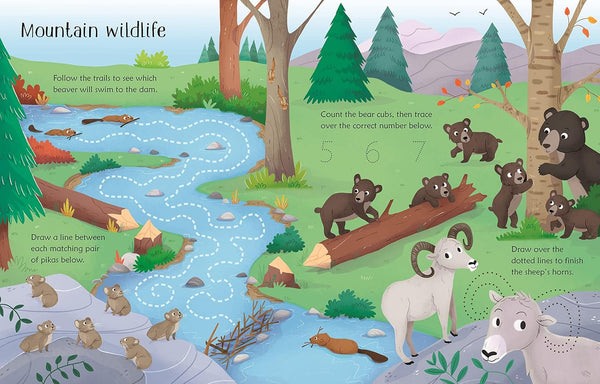 Usborne Wipe-Clean Nature Activities