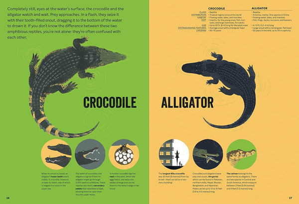 What's the Difference?: 40+ Pairs of the Seemingly Similar