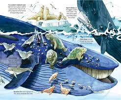 The Usborne Big Book of Sea Creatures: WIth 4 Giant Fold-Outs