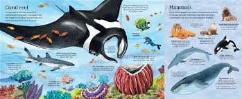 The Usborne Big Book of Sea Creatures: WIth 4 Giant Fold-Outs