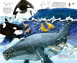 The Usborne Big Book of Sea Creatures: WIth 4 Giant Fold-Outs