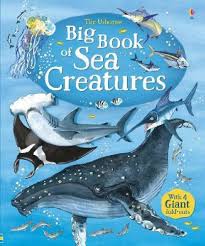 The Usborne Big Book of Sea Creatures: WIth 4 Giant Fold-Outs