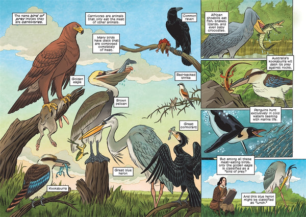 Science Comics Birds Of Prey: Terrifying Talons