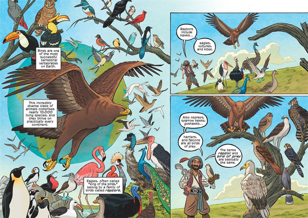 Science Comics Birds Of Prey: Terrifying Talons