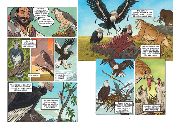 Science Comics Birds Of Prey: Terrifying Talons