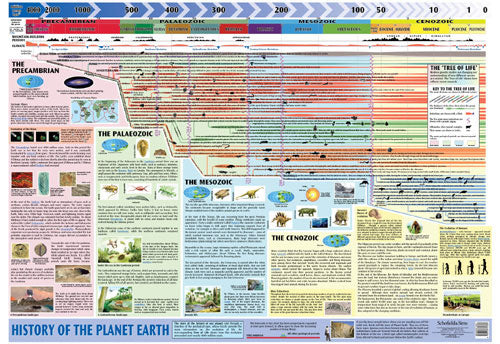 Usborne Fold-Out Timeline of Planet Earth