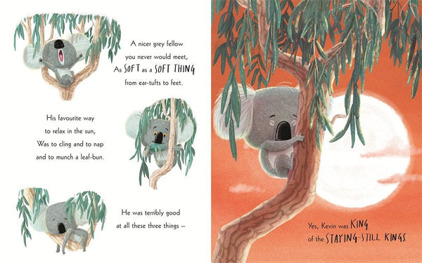 The Koala Who Could - Board Book