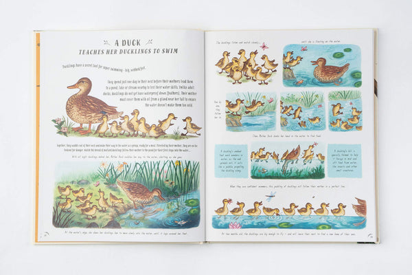 Slow Down: Bring Calm to a Busy World with 50 Nature Stories