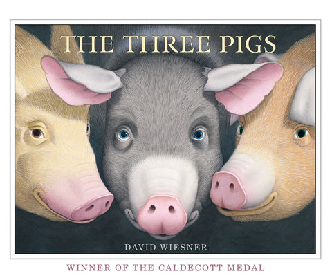 The Three Pigs - David Wiesner