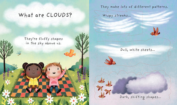 Usborne Lift-the-flap Very First Questions and Answers: What are Clouds?