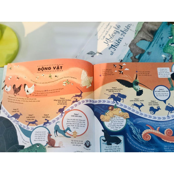 Usborne Fold-Out Timeline of Planet Earth