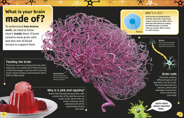 DK The Brain Book: Memory, Matter, and Your Mind