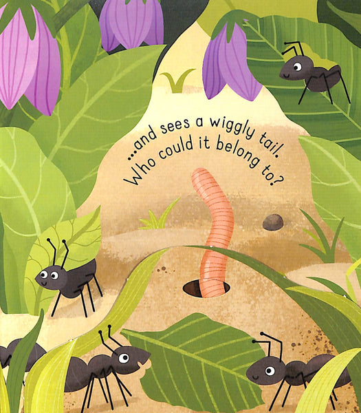 Usborne Little Lift and Look: Bugs